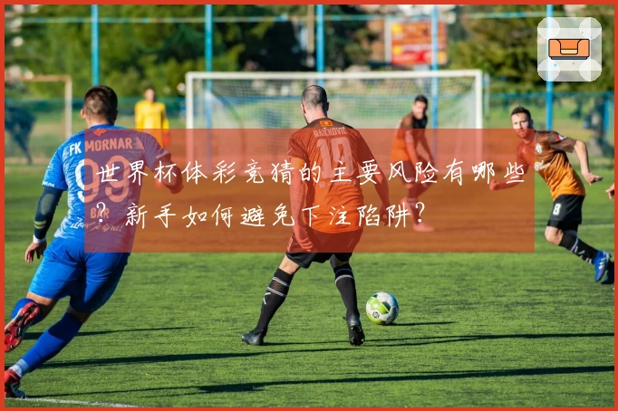 世界杯体彩竞猜的主要风险有哪些?新手如何避免下注陷阱?