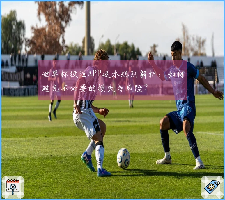世界杯投注APP返水规则解析，如何避免不必要的损失与风险？